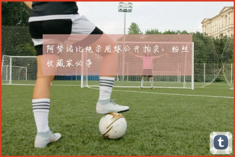 阿努诺比绝杀用球公开拍卖,粉丝收藏家必争