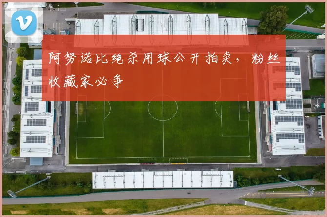 阿努诺比绝杀用球公开拍卖，粉丝收藏家必争